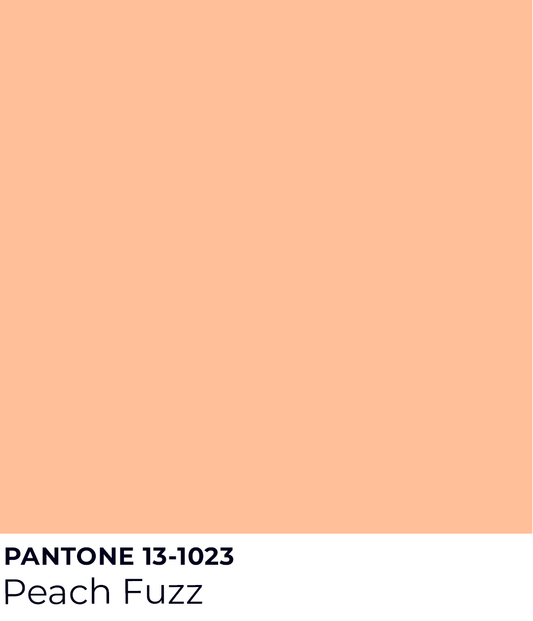 Pantone Color of the Year – Peach Fuzz