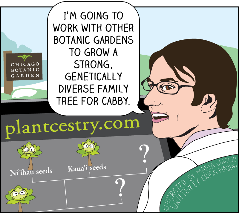 Plantcestry