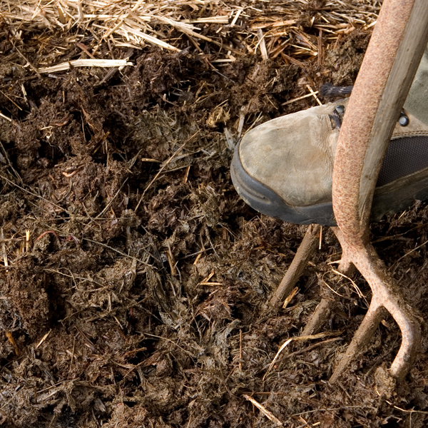 Mulch leaf