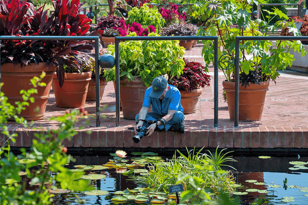 ChicagoBotanicGardenImage