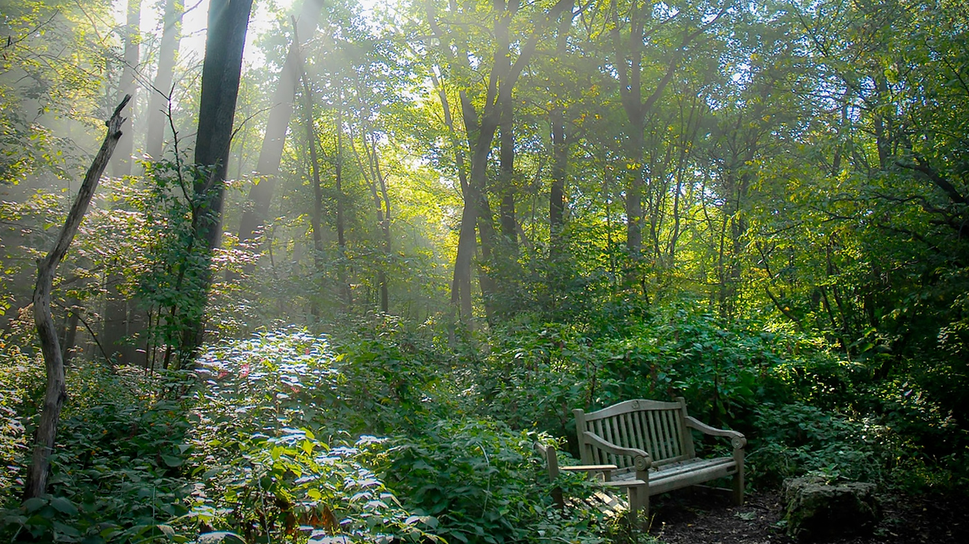 ChicagoBotanicGardenImage