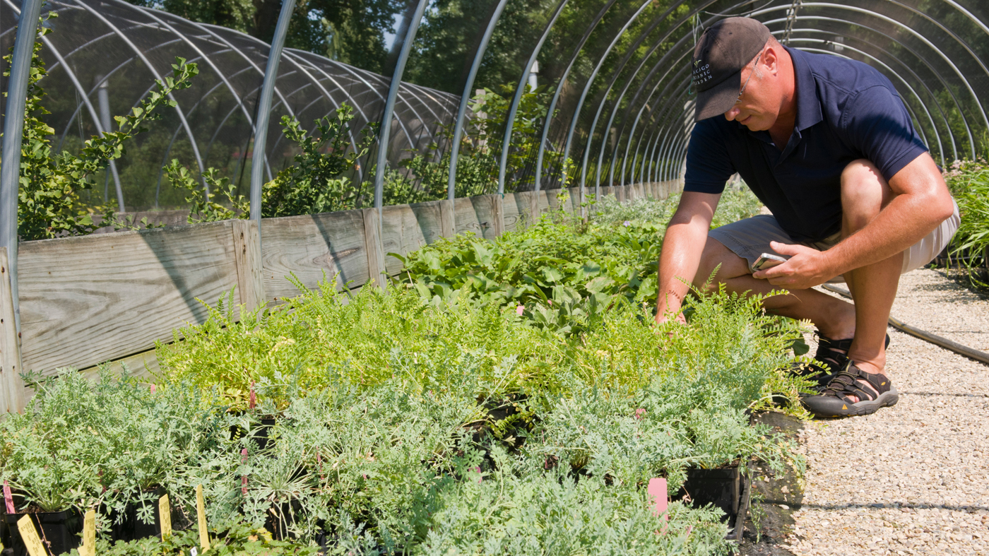 Plant Evaluation Garden with Richard Hawke