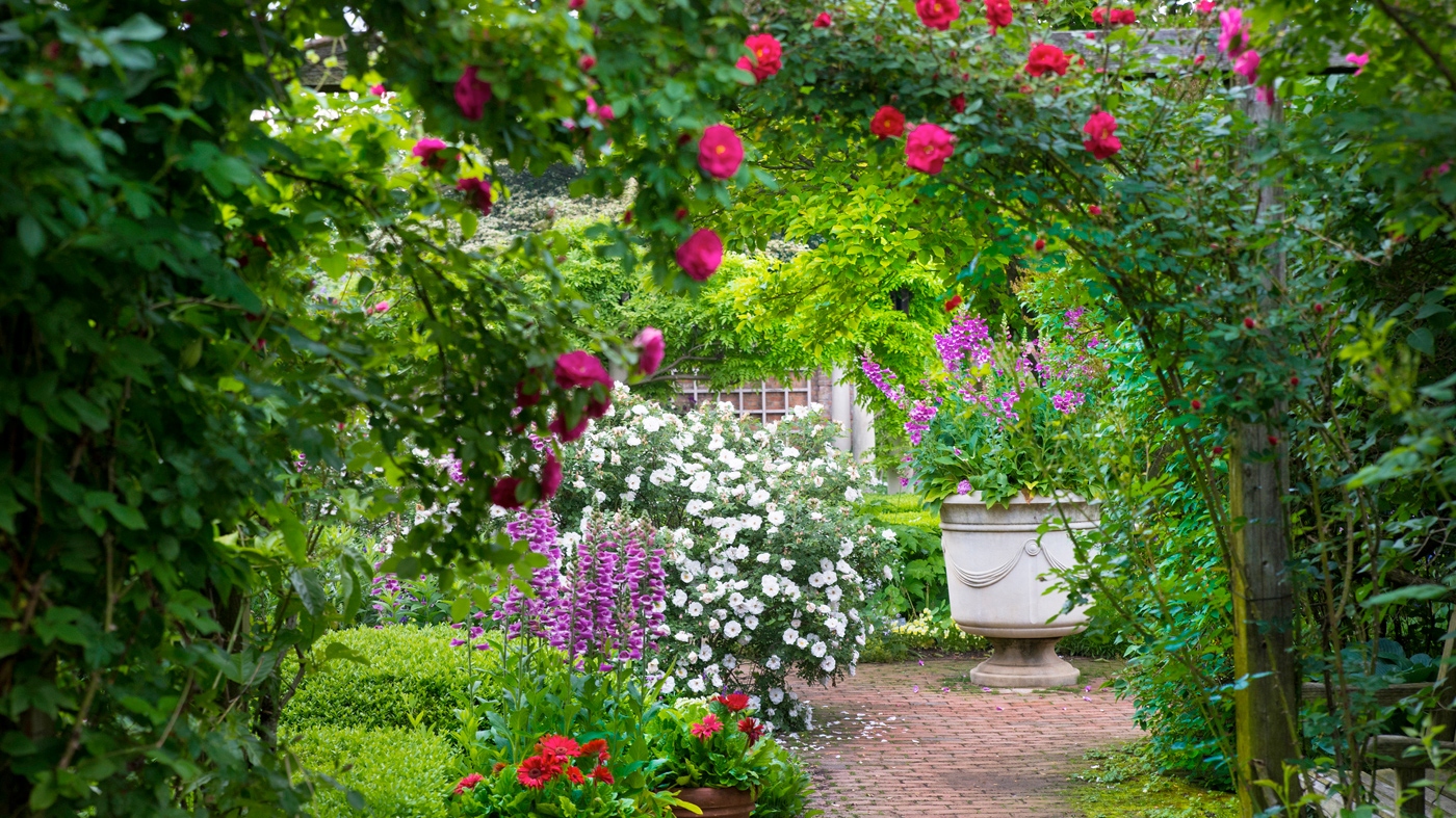 Thomas English Walled Garden