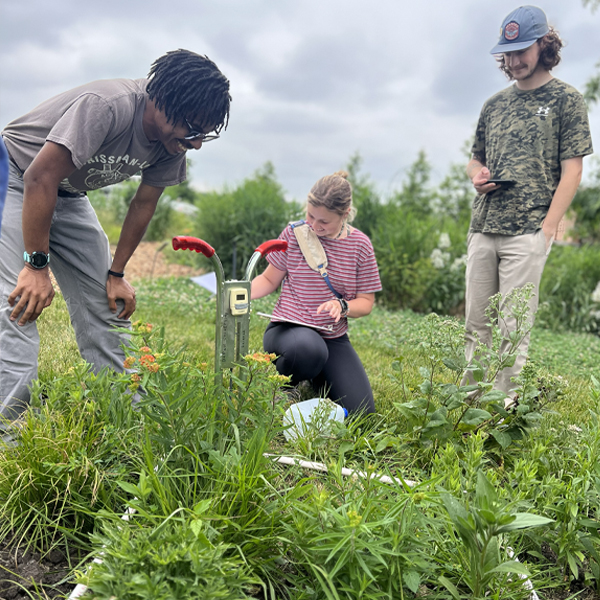research assistant at the University of Michigan-Flint, work on research with the experimental plots.