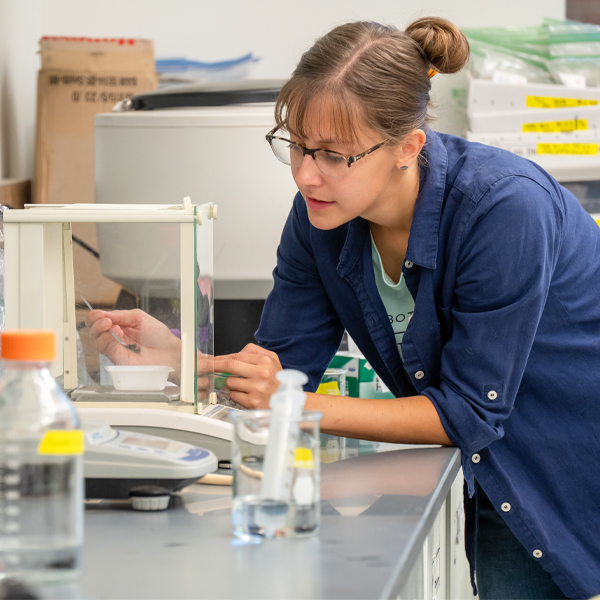 Former lawn alternatives research assistant and graduate student Alison Branz studies soil from the experimental plots in the soil lab at the Garden’s Plant Science Center.