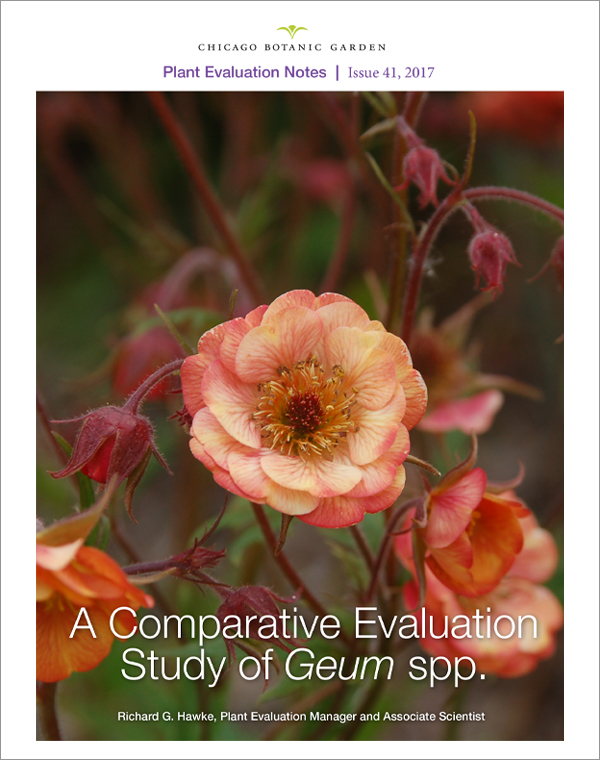 Geum Plant Evaluation Notes