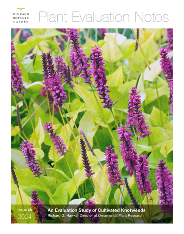 Knotweed Plant Evaluation Notes