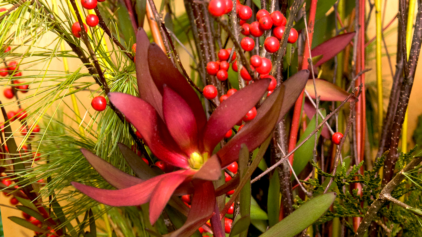 ChicagoBotanicGardenImage