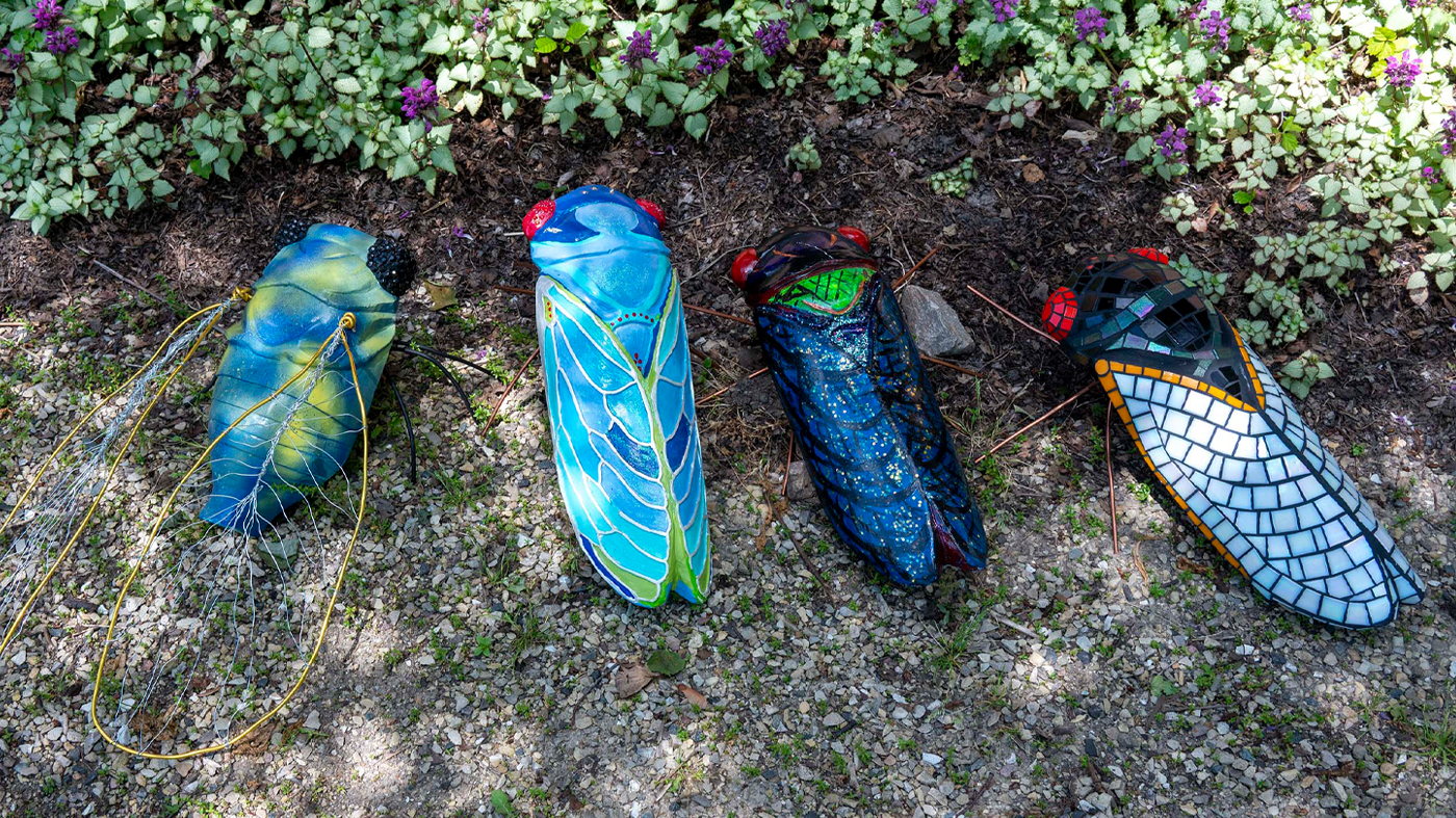 Cicada Parade