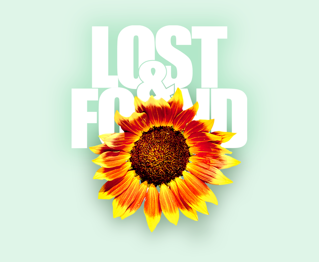 Lost & Found