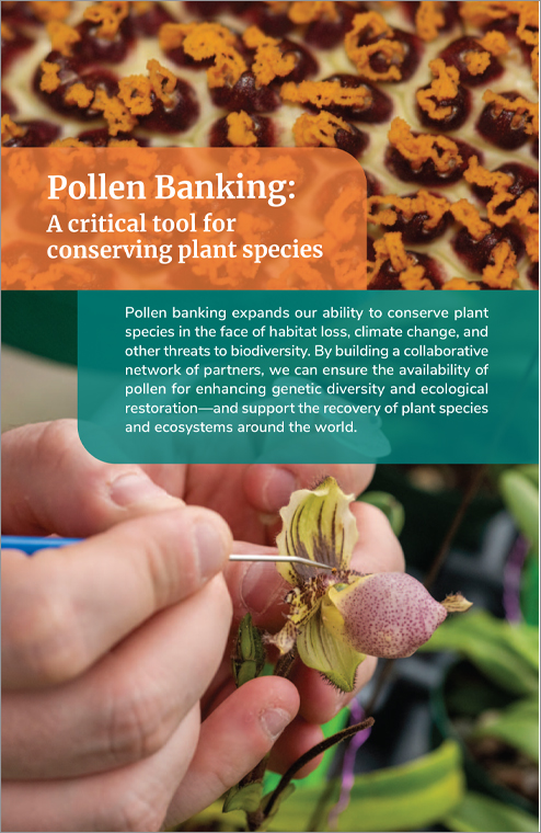 Pollen Banking