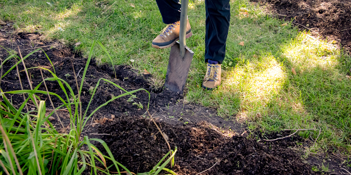 Fall planting