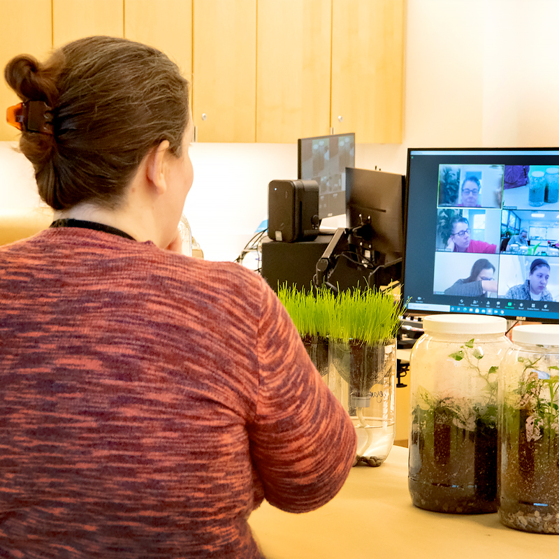 Virtual Field Trips