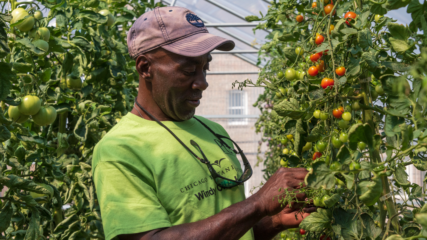 Windy City Harvest Certificate Courses