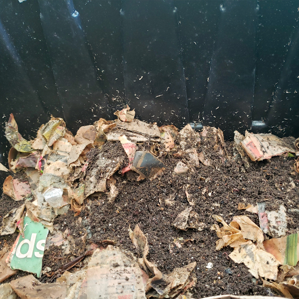 composting bin