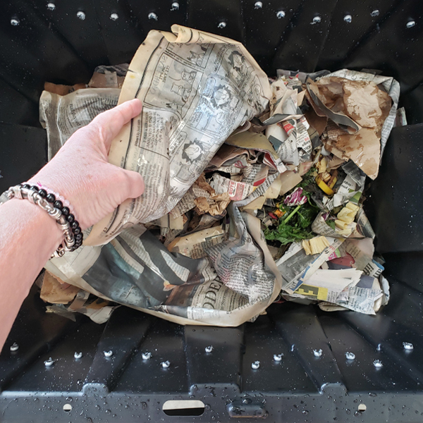 Worm bin with newspaper