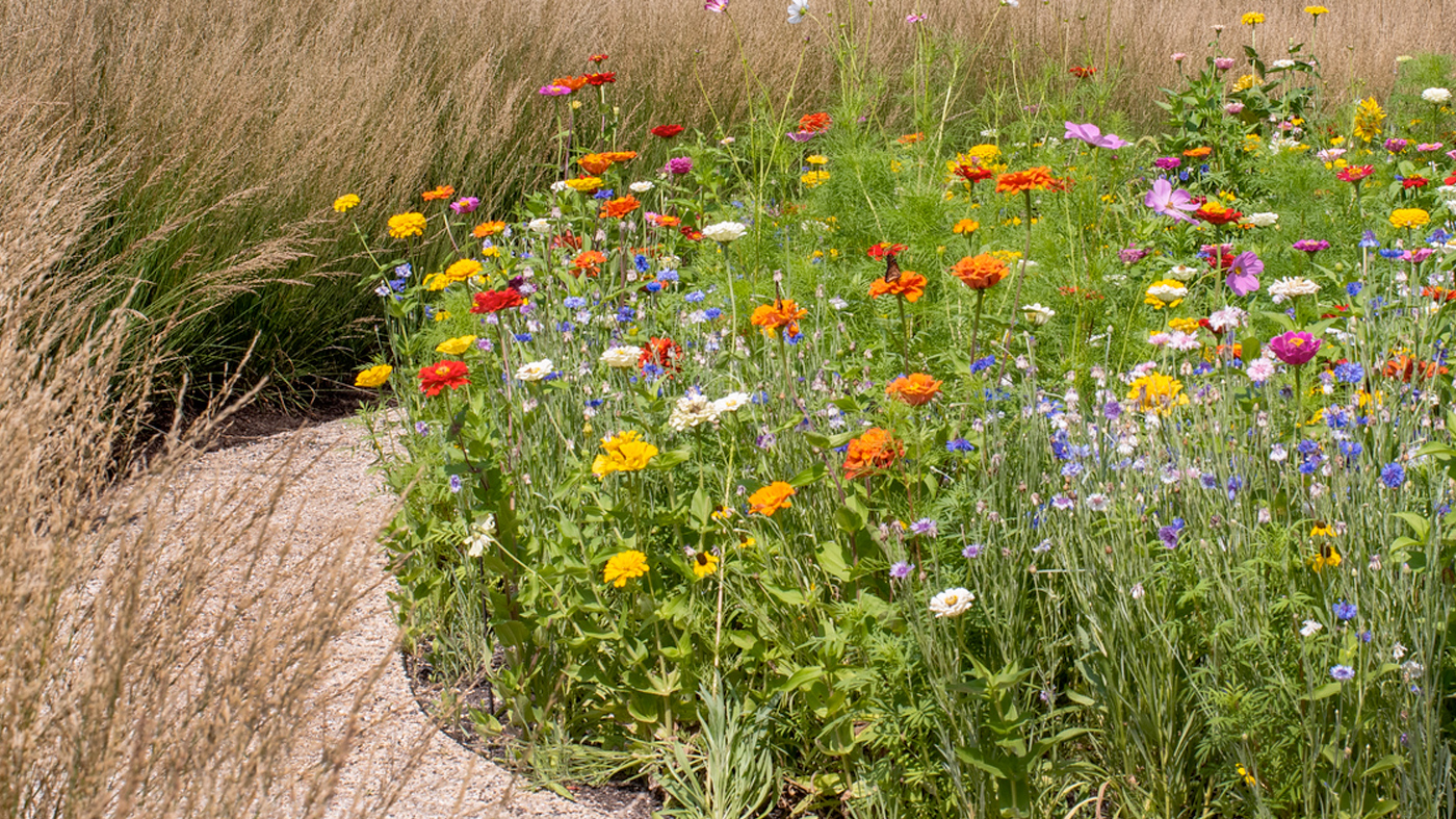 ChicagoBotanicGardenImage