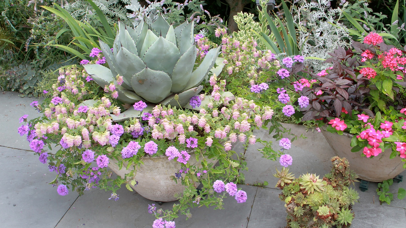 ChicagoBotanicGardenImage