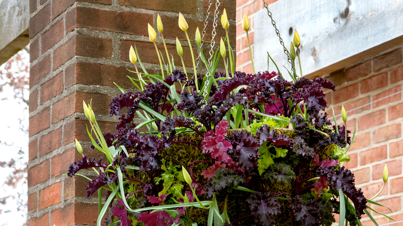 ChicagoBotanicGardenImage