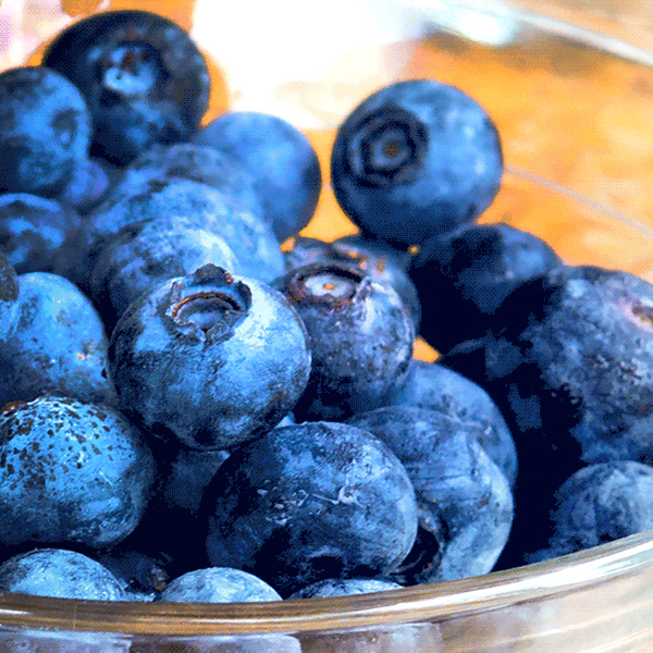 Blueberries