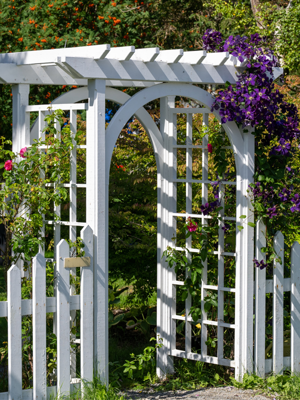 Arbor