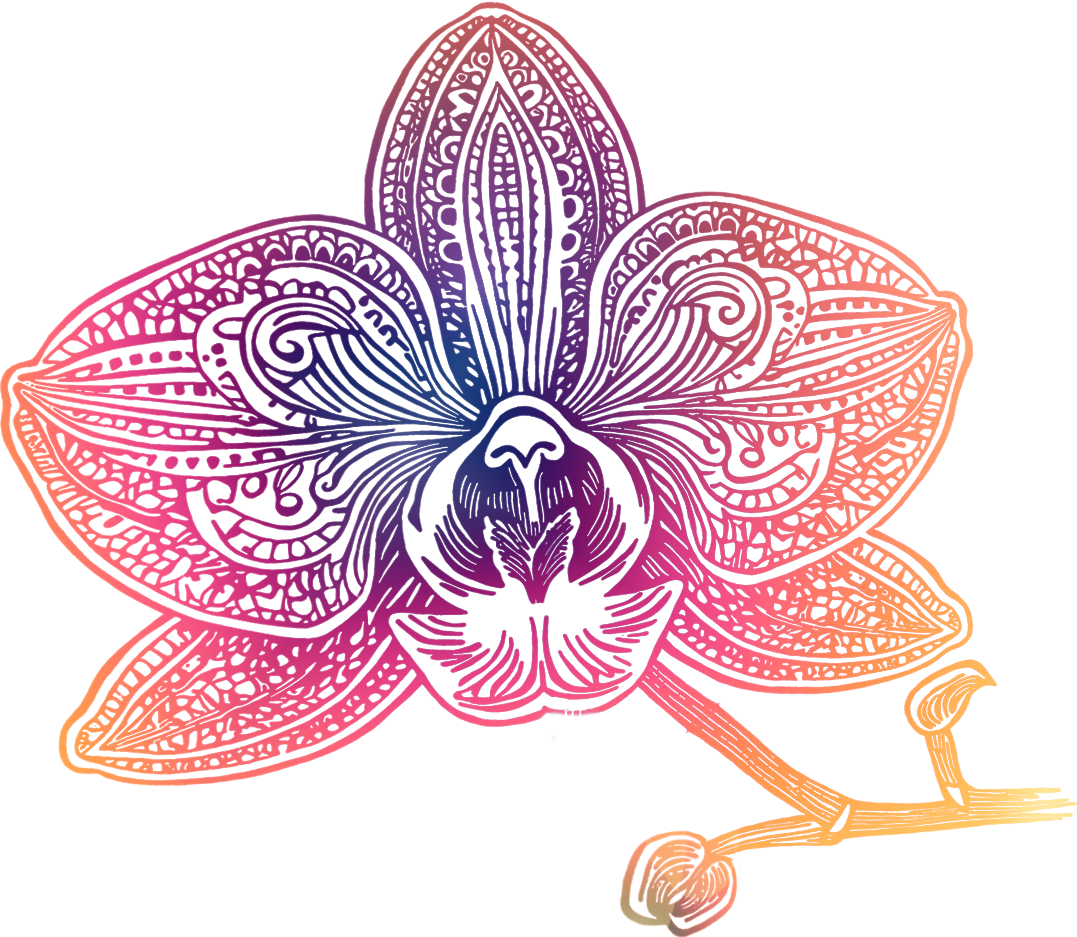 The Orchid Show: India Blooms – Orchid Art