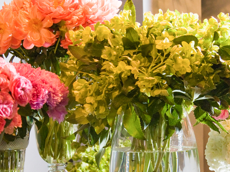 cut flowers
