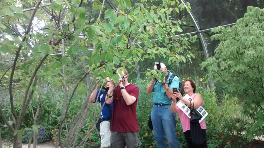 butterfly-photographers