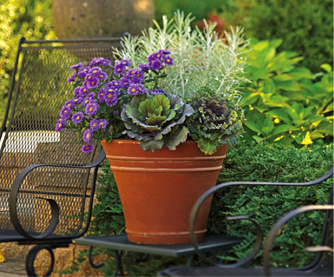 fall container