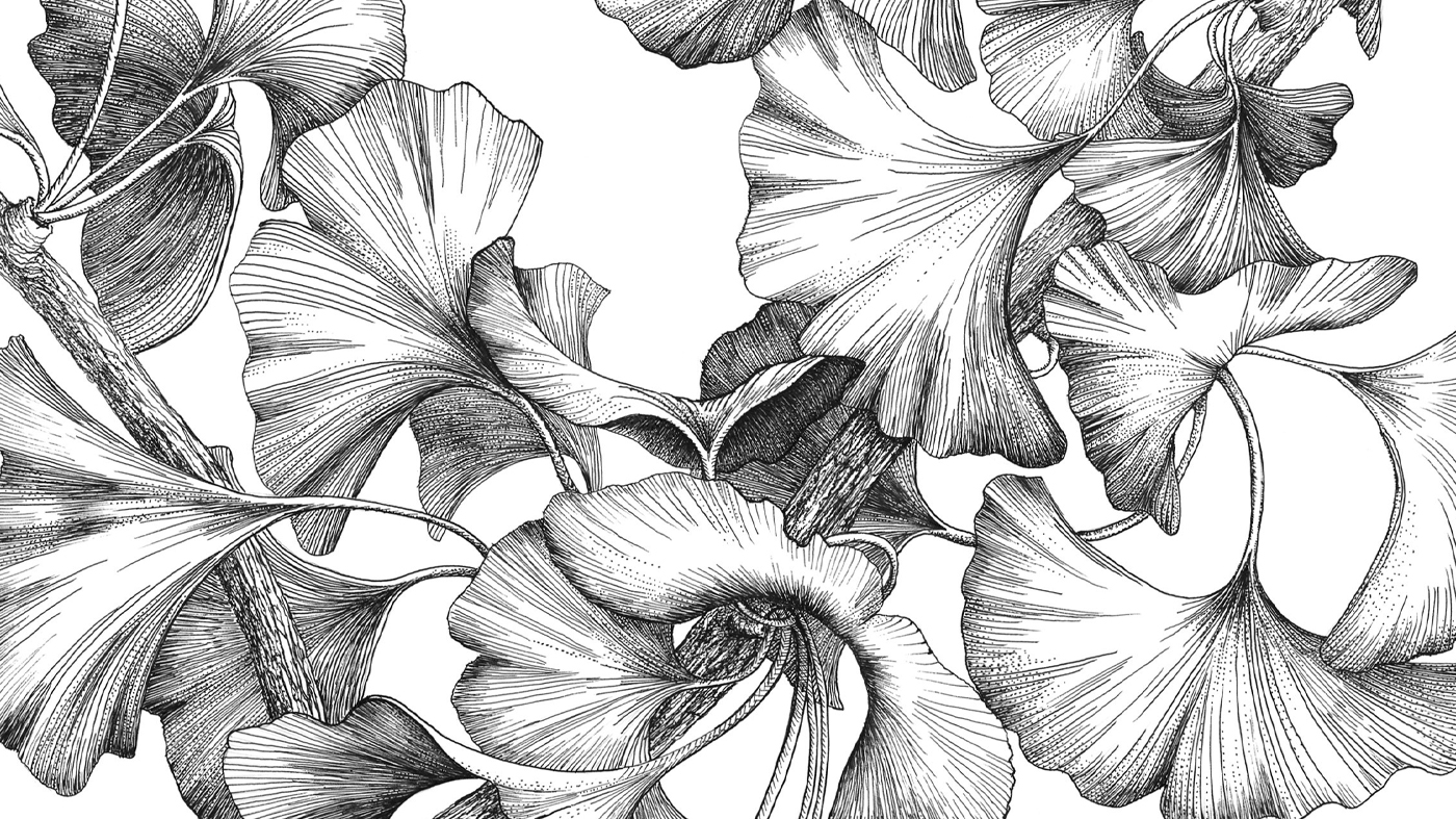 ChicagoBotanicGardenImage