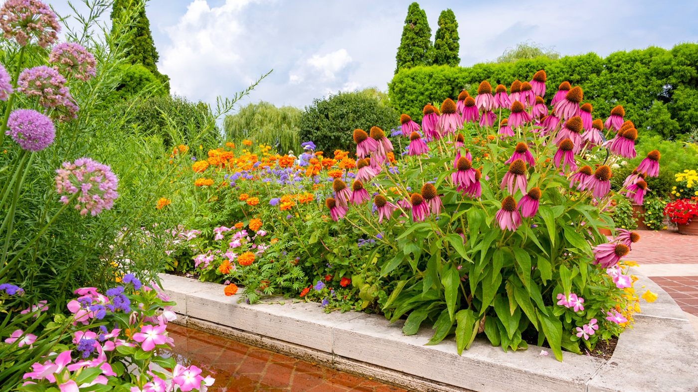 ChicagoBotanicGardenImage