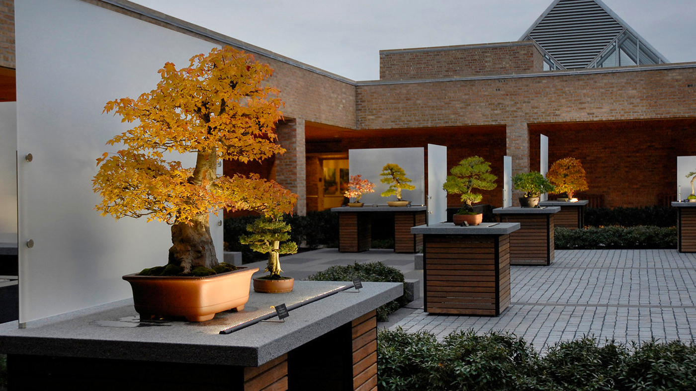 ChicagoBotanicGardenImage