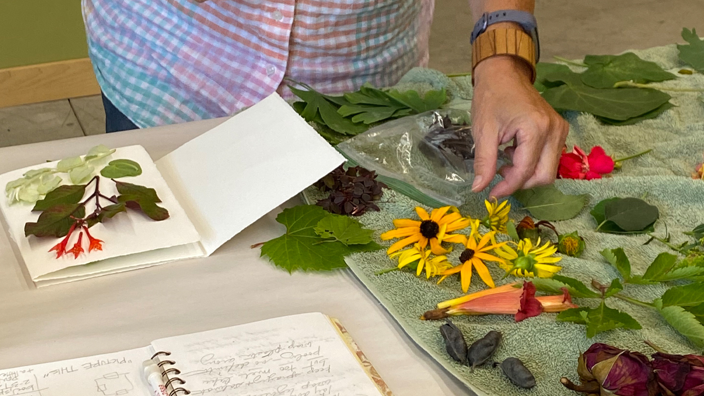 ChicagoBotanicGardenImage