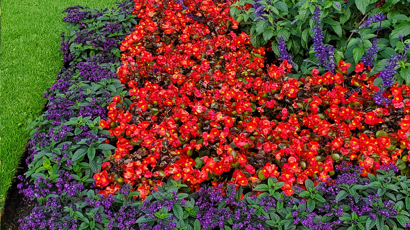 ChicagoBotanicGardenImage
