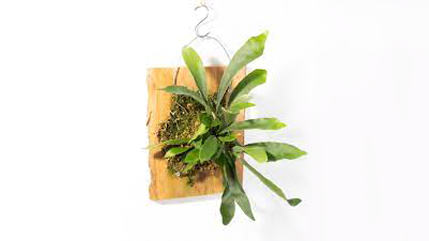 ChicagoBotanicGardenImage