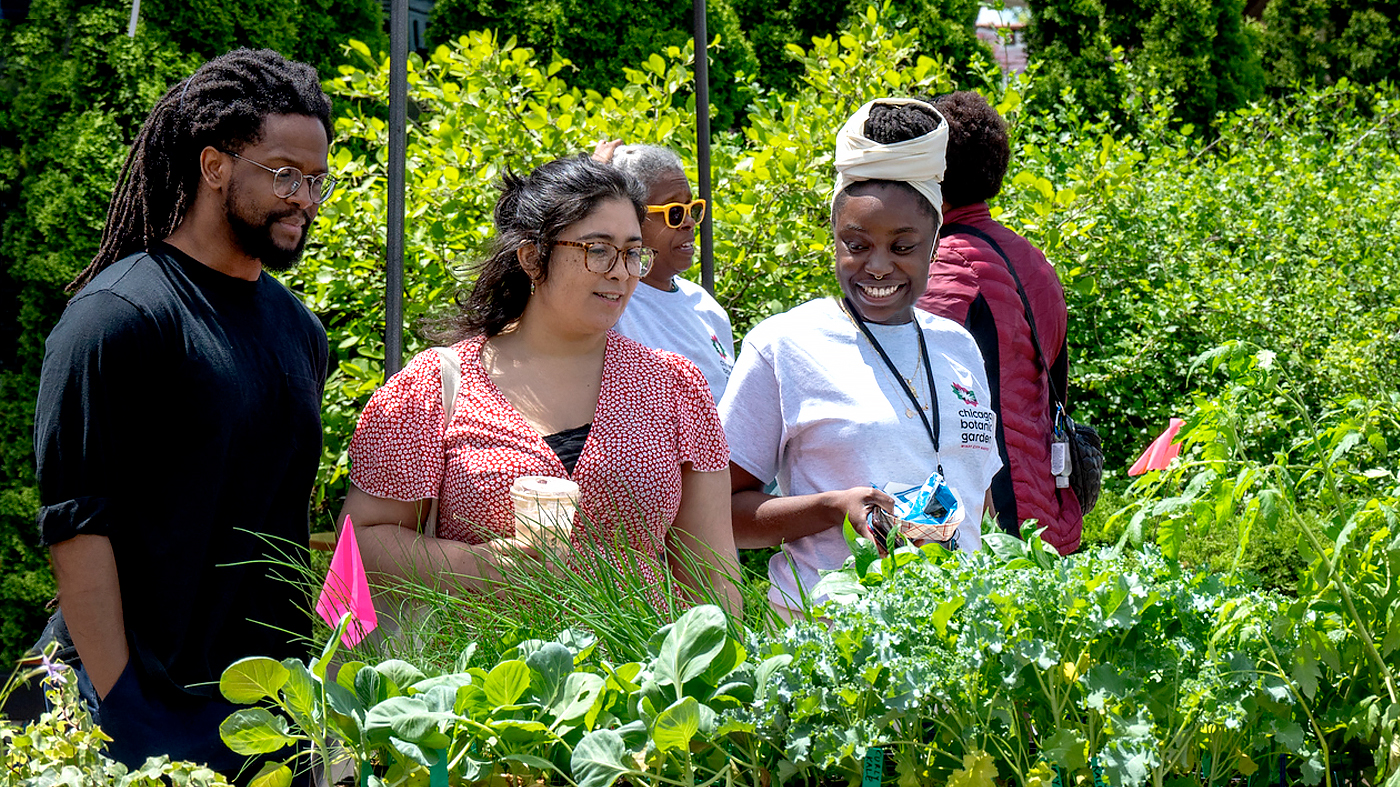 Windy City Harvest Plant Sale