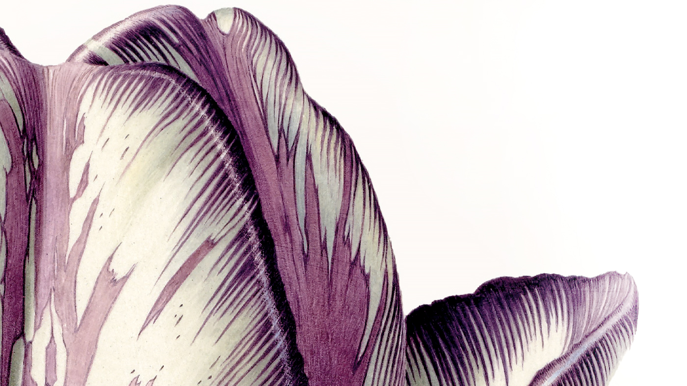 ChicagoBotanicGardenImage