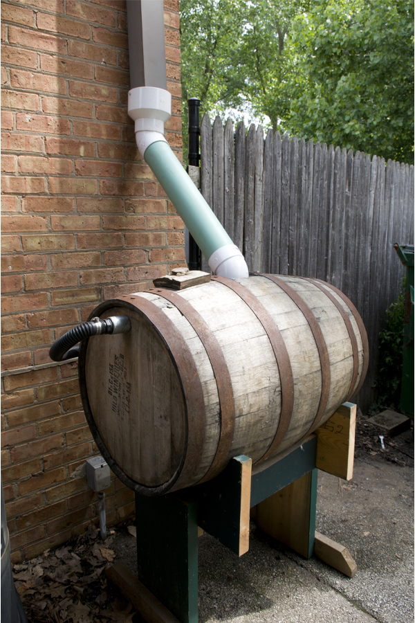 rainbarrel