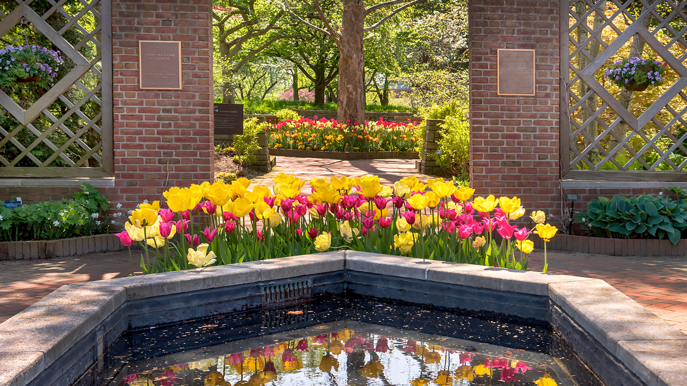 Therapeutic Horticulture Workshops