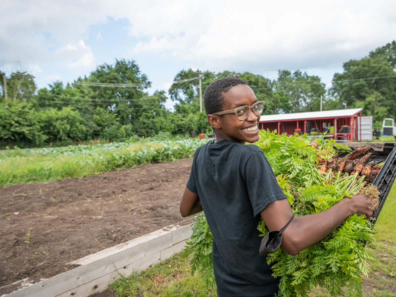 Support Windy City Harvest