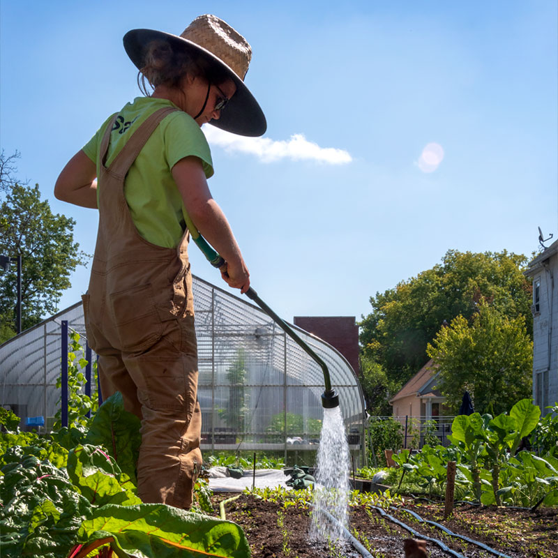 Windy City Harvest Apprenticeship