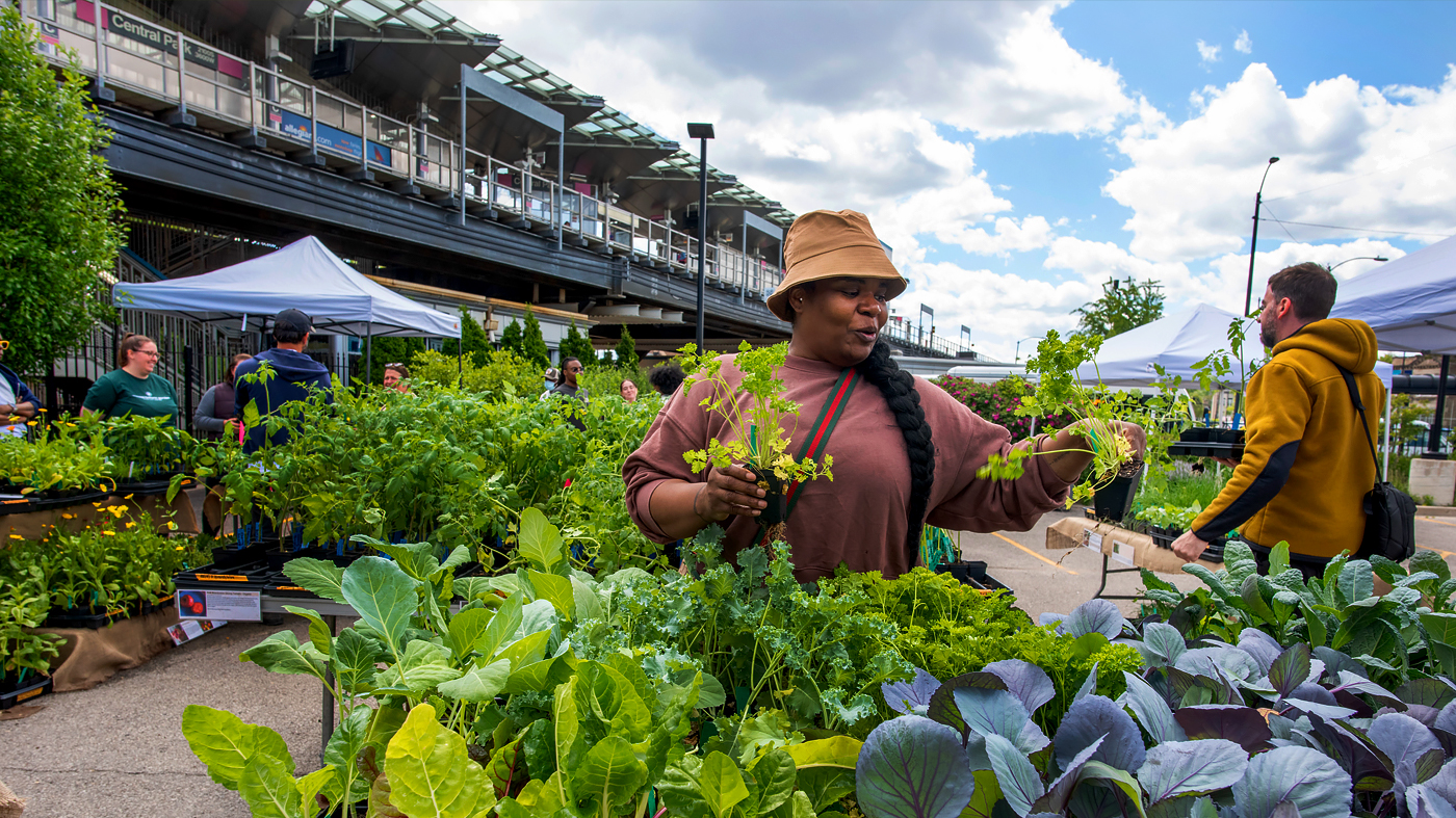 Windy City Harvest Workshops & Events