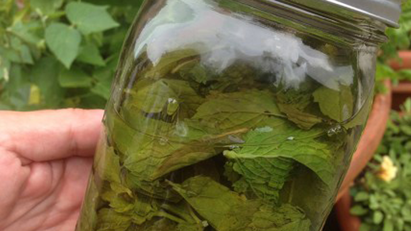herbal tea