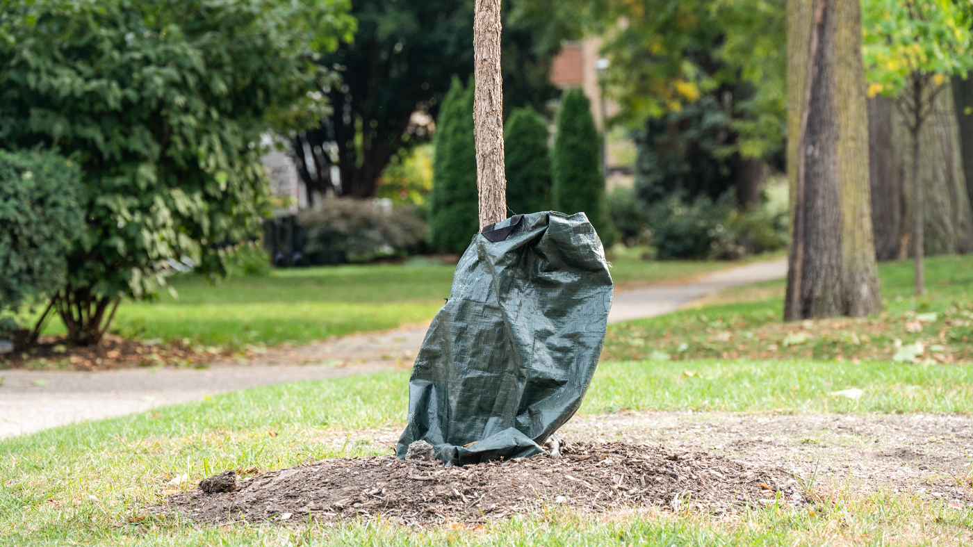 tree watering bag