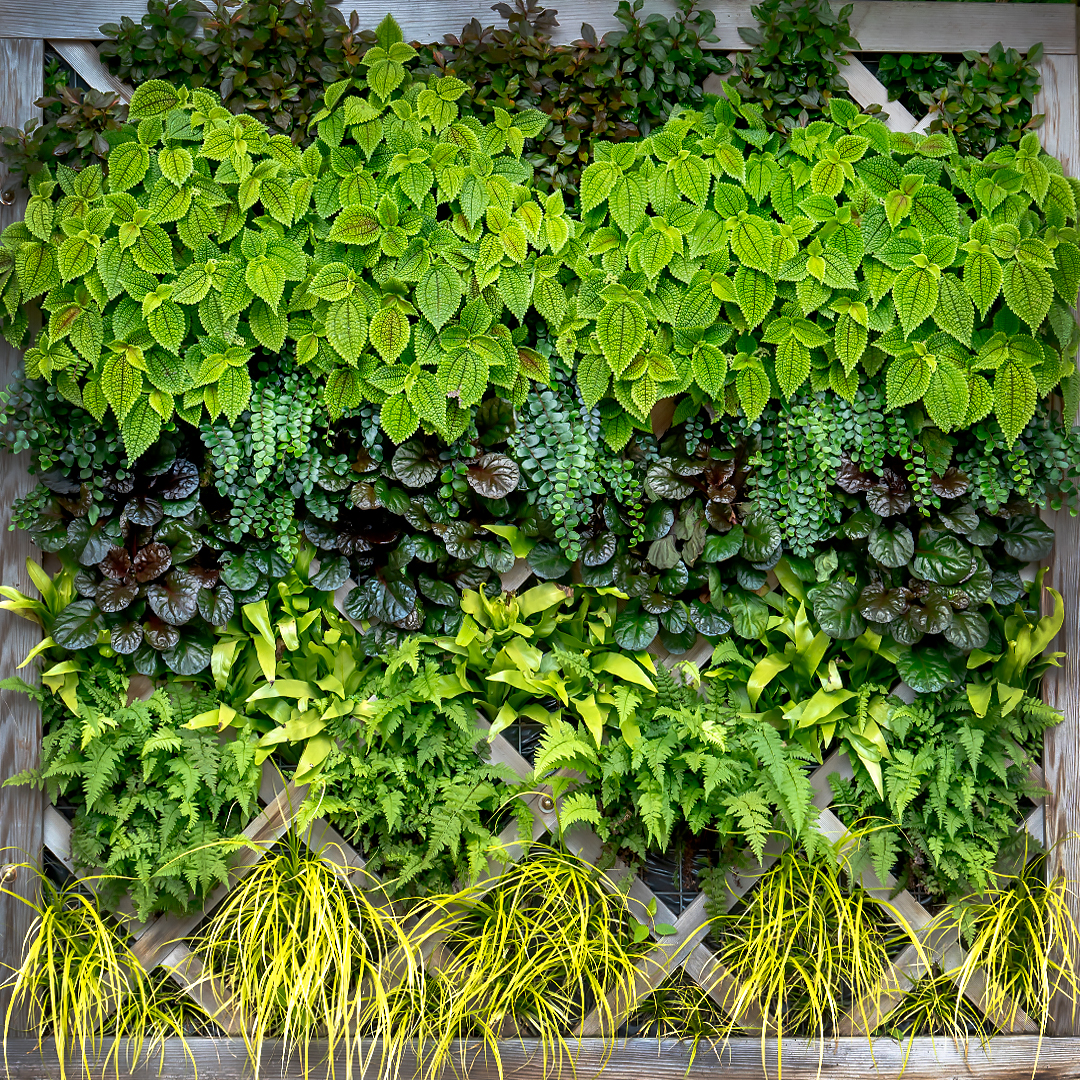 Patterned by Nature