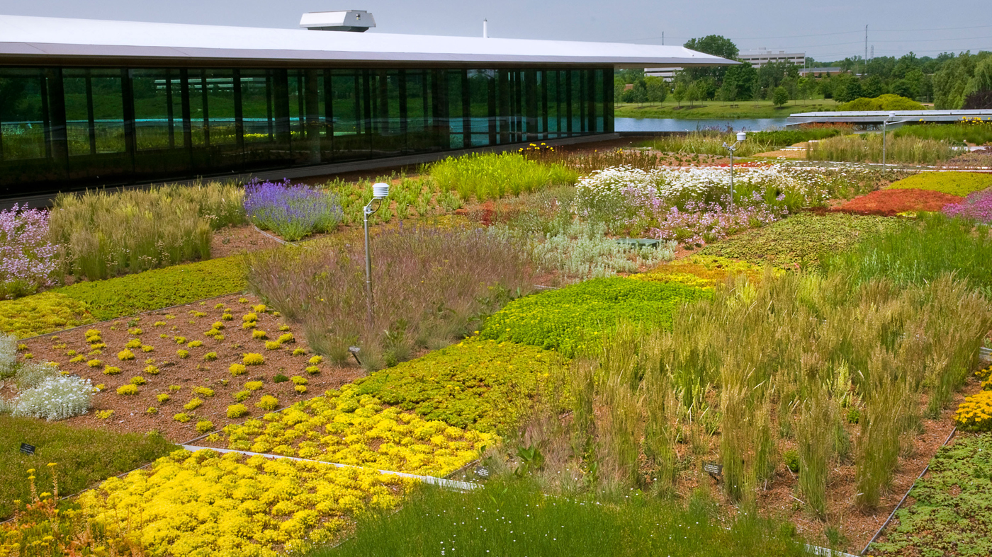 PHOTO: green roof