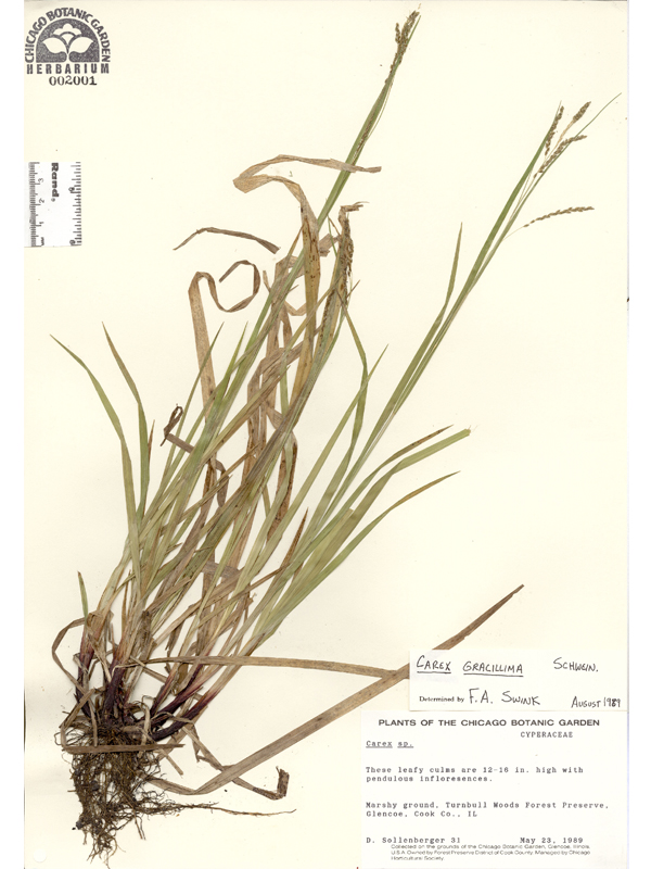 Herbarium