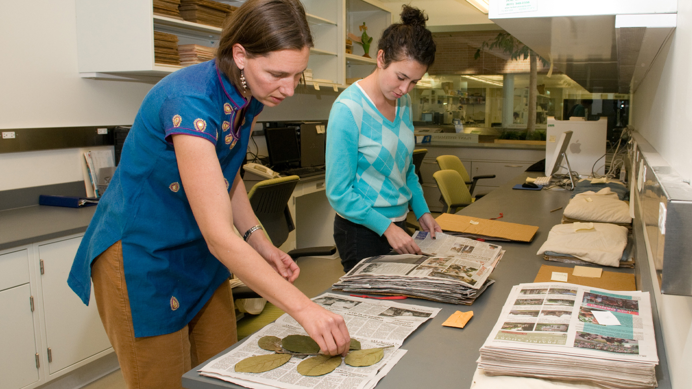 Herbarium