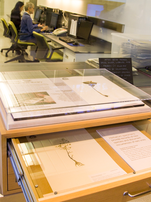 herbarium