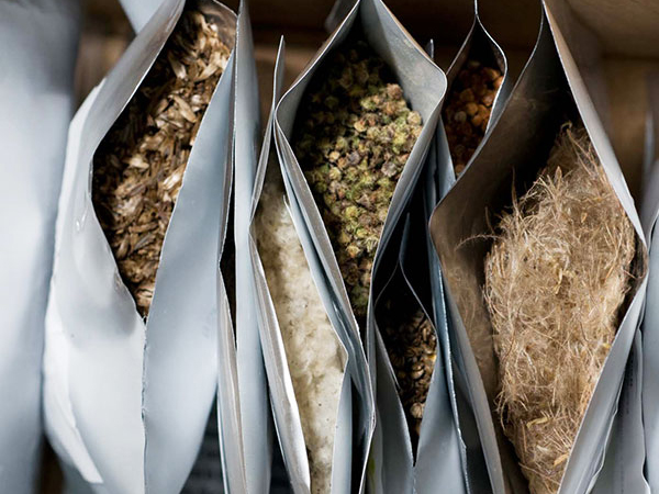 seed storage